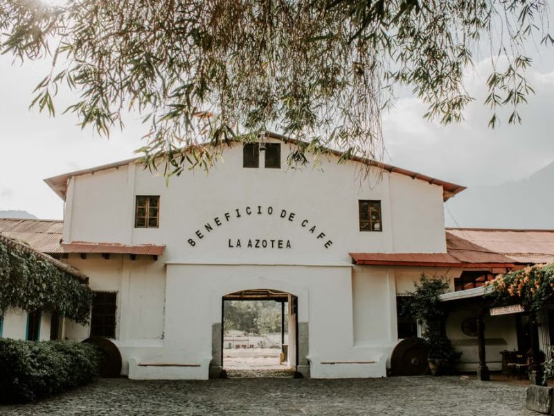 Charming historic building of Beneficio de Cafe La Azotea surrounded by lush greenery and cobblestones.